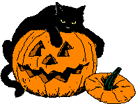 Animation of pumpkin and black cat with blinking eyes