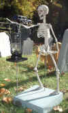 Photo of Skeleton Lawn Jockey Prop