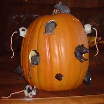 2008 pumpkin - Mouse Hotel
