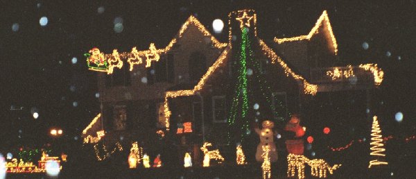 Hollys Tacky Christmas Lights in Fairfax County, Virginia