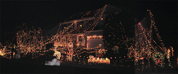 Hollys Tacky Christmas Lights in Fairfax County, Virginia